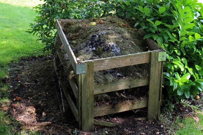 How to Make Compost at Home Using Kitchen Waste