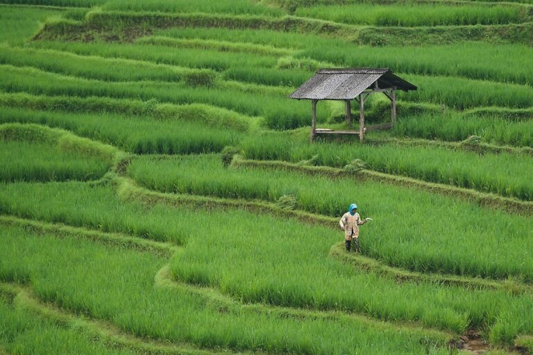 Weird and Wonderful Farming Techniques from Around the World