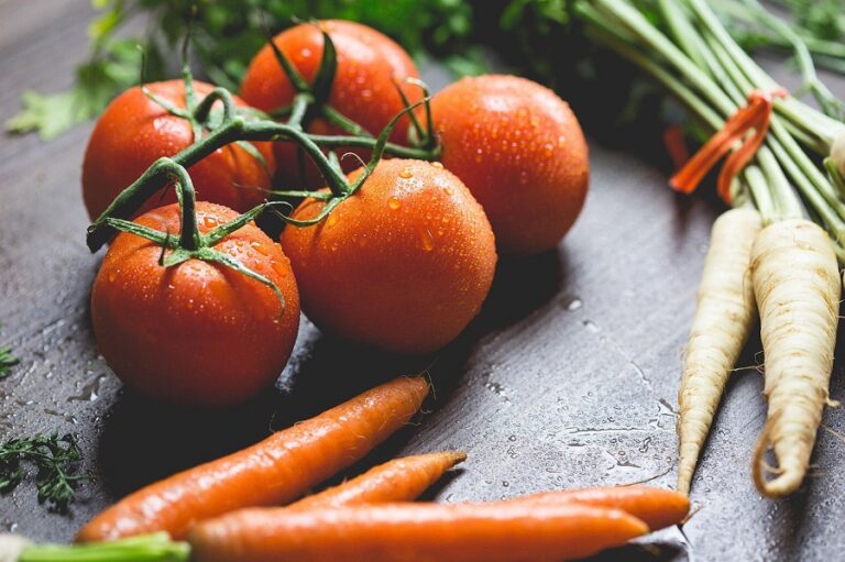 The Farmer Who Turned a Small Plot into a Thriving Organic Farm